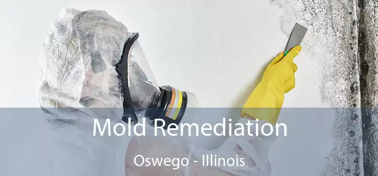 Mold Remediation Oswego - Illinois