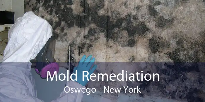 Mold Remediation Oswego - New York