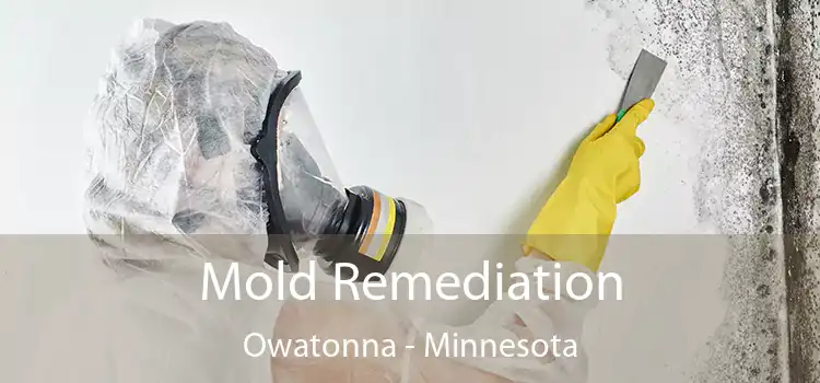 Mold Remediation Owatonna - Minnesota