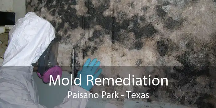 Mold Remediation Paisano Park - Texas