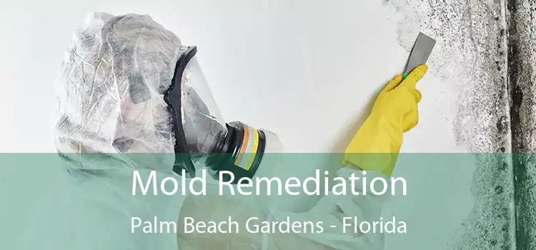 Mold Remediation Palm Beach Gardens - Florida