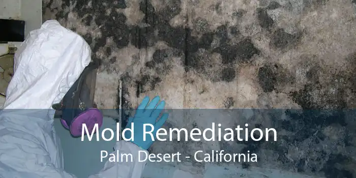 Mold Remediation Palm Desert - California