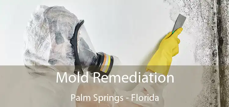 Mold Remediation Palm Springs - Florida