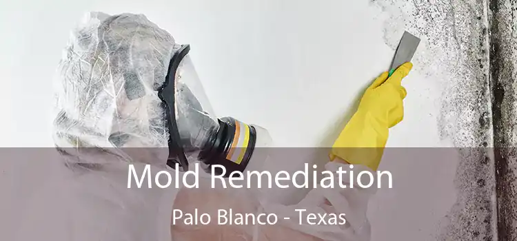 Mold Remediation Palo Blanco - Texas