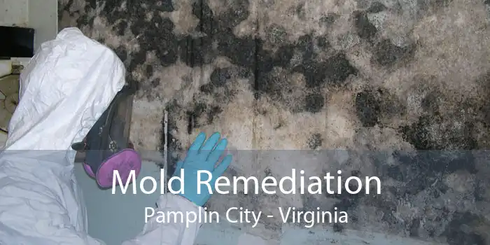 Mold Remediation Pamplin City - Virginia