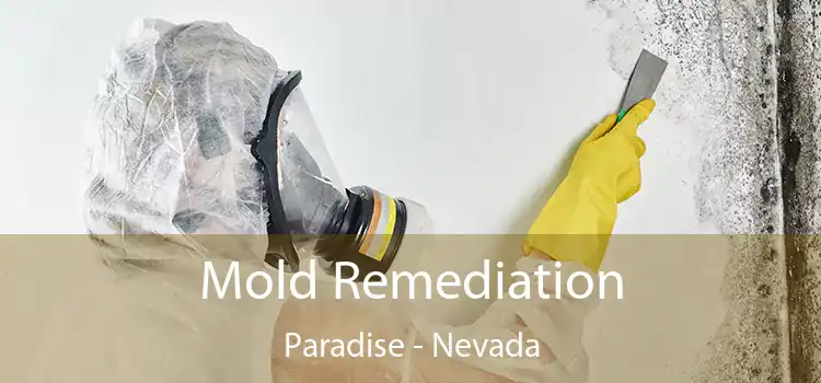 Mold Remediation Paradise - Nevada