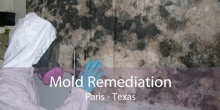 Mold Remediation Paris - Texas