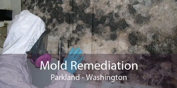 Mold Remediation Parkland - Washington