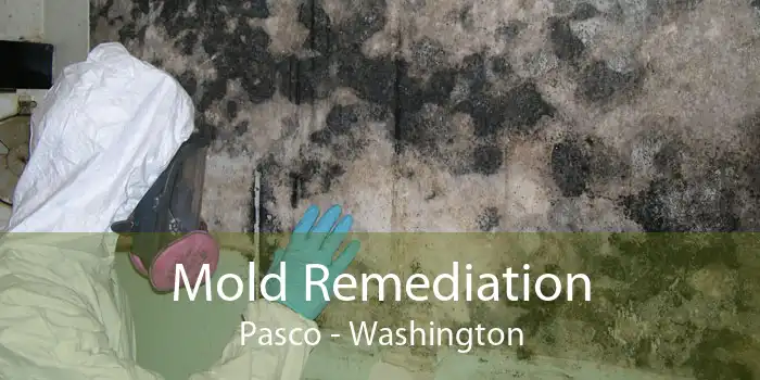 Mold Remediation Pasco - Washington
