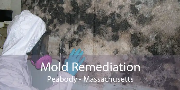 Mold Remediation Peabody - Massachusetts