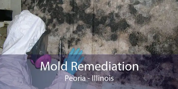 Mold Remediation Peoria - Illinois