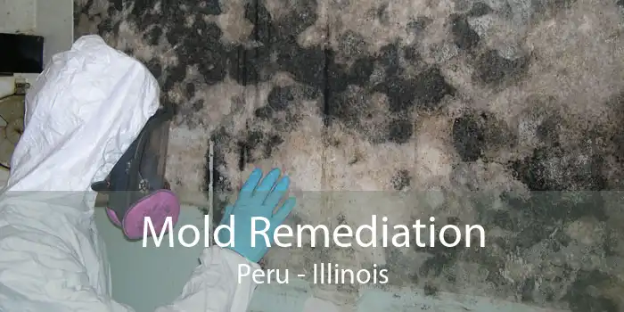 Mold Remediation Peru - Illinois