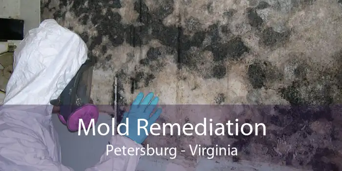 Mold Remediation Petersburg - Virginia