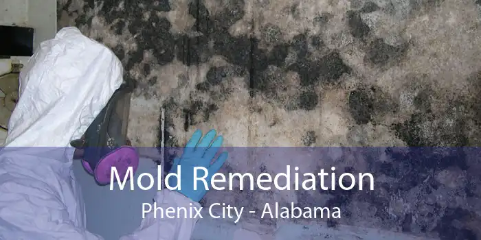 Mold Remediation Phenix City - Alabama