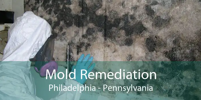 Mold Remediation Philadelphia - Pennsylvania