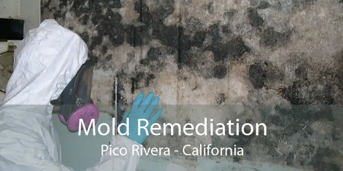 Mold Remediation Pico Rivera - California