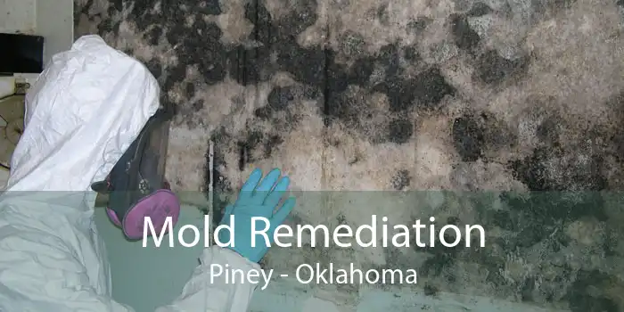 Mold Remediation Piney - Oklahoma