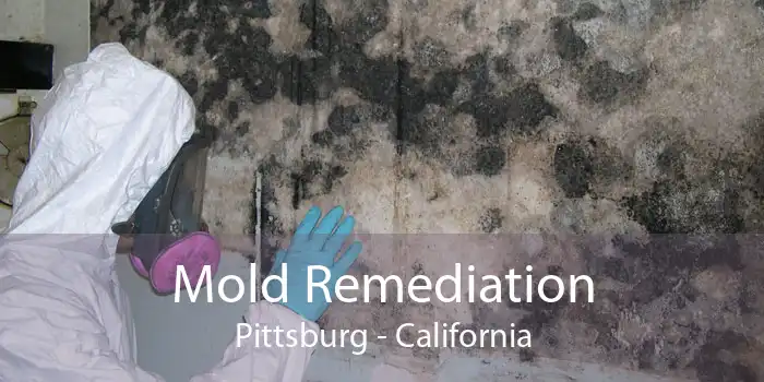 Mold Remediation Pittsburg - California