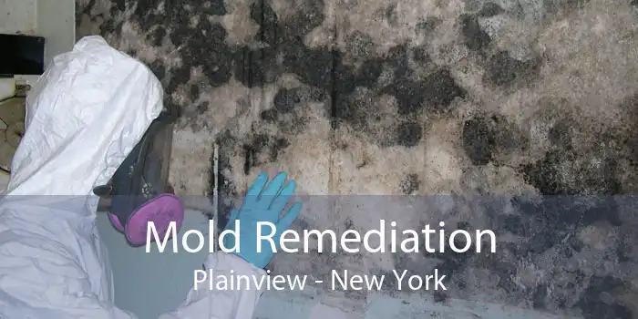 Mold Remediation Plainview - New York