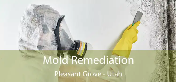 Mold Remediation Pleasant Grove - Utah