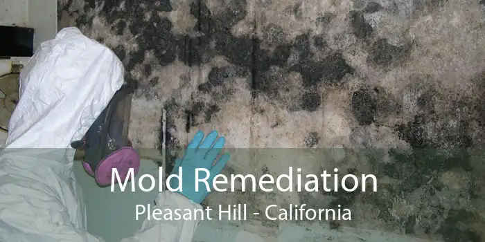 Mold Remediation Pleasant Hill - California