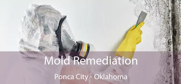 Mold Remediation Ponca City - Oklahoma