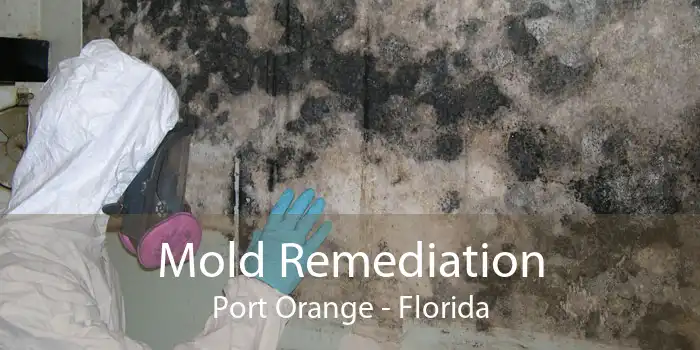 Mold Remediation Port Orange - Florida