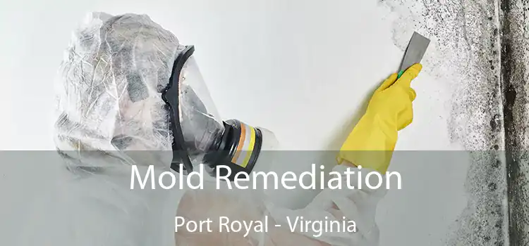 Mold Remediation Port Royal - Virginia