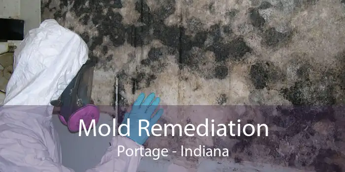 Mold Remediation Portage - Indiana