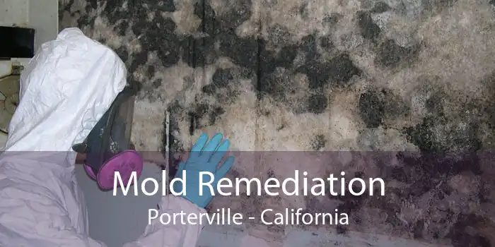 Mold Remediation Porterville - California