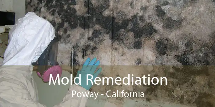 Mold Remediation Poway - California
