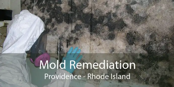 Mold Remediation Providence - Rhode Island