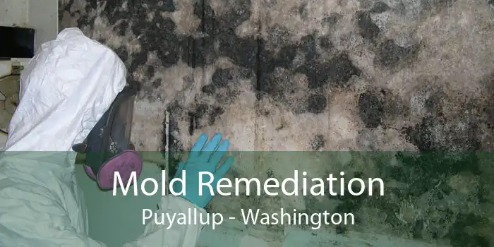 Mold Remediation Puyallup - Washington