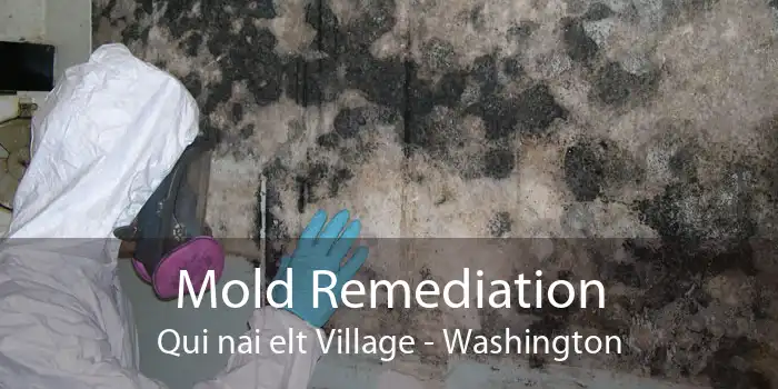Mold Remediation Qui nai elt Village - Washington