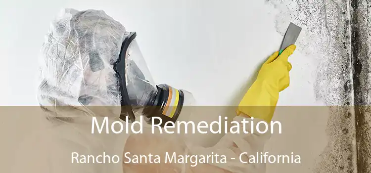 Mold Remediation Rancho Santa Margarita - California