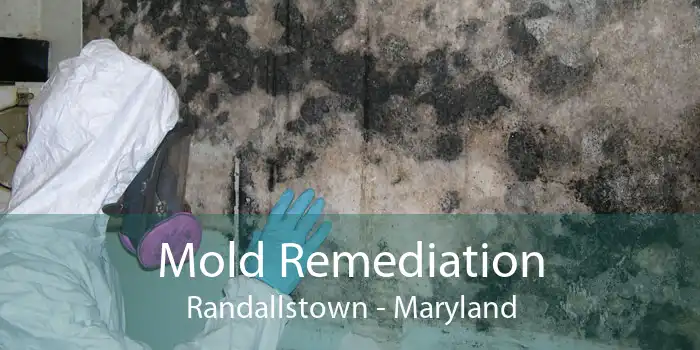 Mold Remediation Randallstown - Maryland