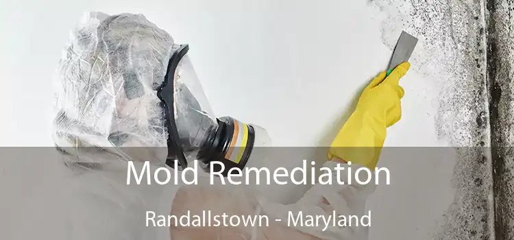 Mold Remediation Randallstown - Maryland