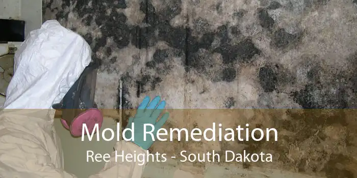Mold Remediation Ree Heights - South Dakota