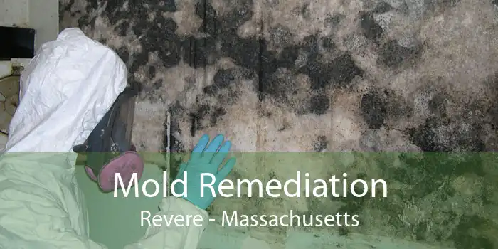 Mold Remediation Revere - Massachusetts