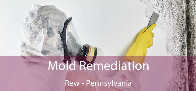 Mold Remediation Rew - Pennsylvania