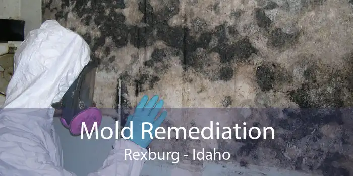 Mold Remediation Rexburg - Idaho
