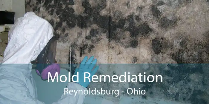 Mold Remediation Reynoldsburg - Ohio