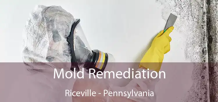 Mold Remediation Riceville - Pennsylvania