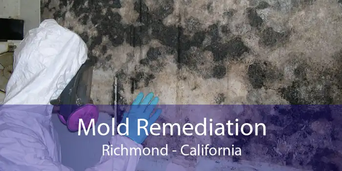 Mold Remediation Richmond - California