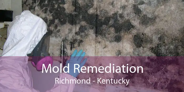 Mold Remediation Richmond - Kentucky