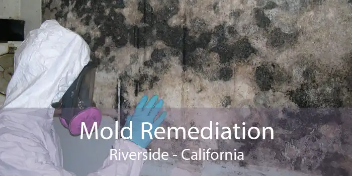 Mold Remediation Riverside - California