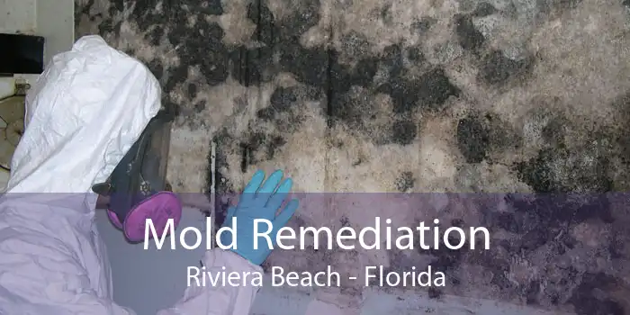 Mold Remediation Riviera Beach - Florida