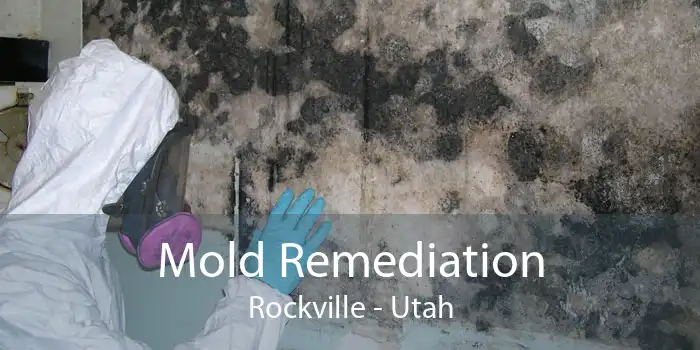 Mold Remediation Rockville - Utah