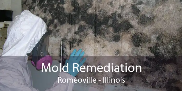 Mold Remediation Romeoville - Illinois