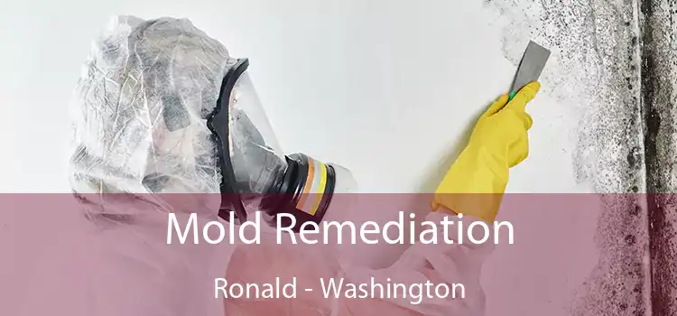 Mold Remediation Ronald - Washington